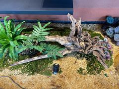 -老湘亲·品鉴湘菜(湖里店)