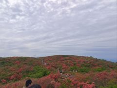 -大围山国家森林公园