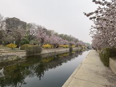 -元大都城垣遗址公园