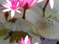 -白沙门生态公园