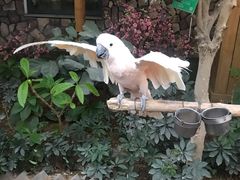 -南宫五洲植物乐园