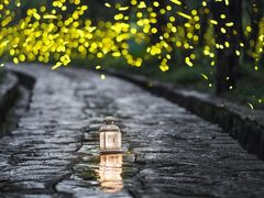 -灵谷景区