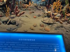 -天津自然博物馆