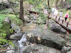 -北京植物园南门售票处