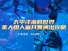 -太平洋海底世界