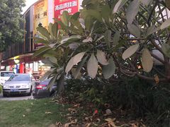 -广州市瑞宝粮油食杂批发市场