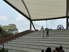 -新加坡飞禽公园