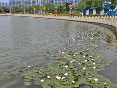-保定东湖公园(莲池区)