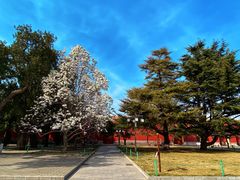 -北京市劳动人民文化宫(太庙)