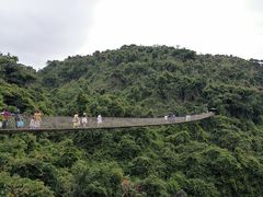 -亚龙湾热带天堂森林公园
