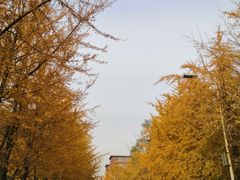-辽宁大学(崇山校区)