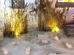 -淀里船宴(裕华东路店)