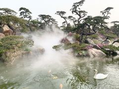 -罗红摄影艺术馆