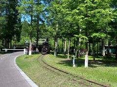 -黄海国家森林公园