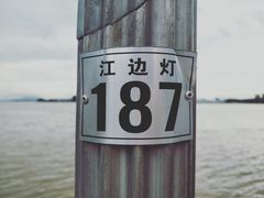 -张师傅参鸡汤店(高丽街店)
