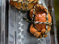 阳澄湖大闸蟹-乡乐园蟹庄·阳澄湖农家乐
