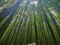 -山王坪喀斯特国家生态公园