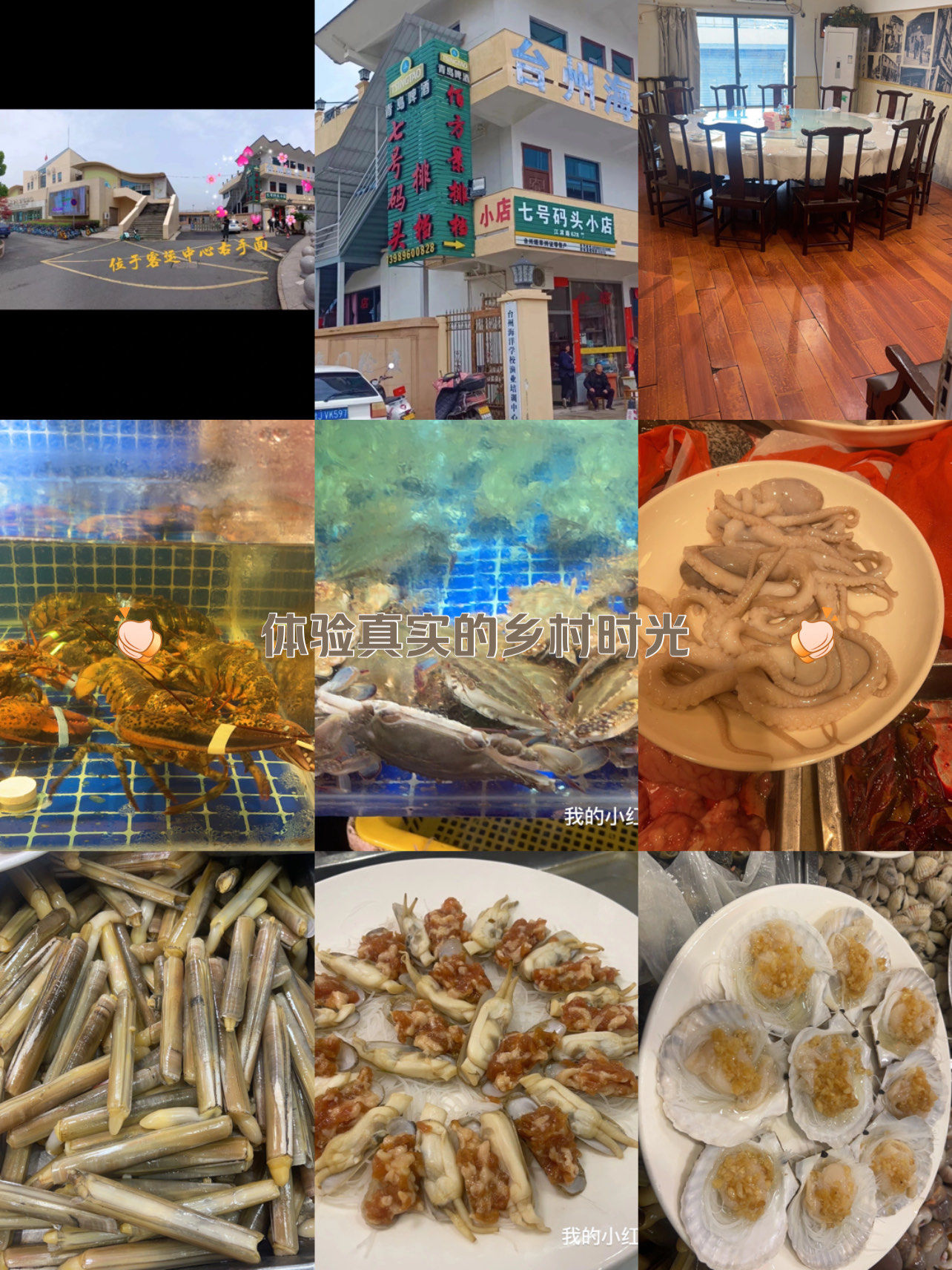 七号码头排挡,海鲜新鲜,味道好,主要还价廉物