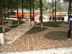 -西南交通大学(峨眉校区)