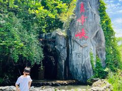 -青峰峡国家森林公园