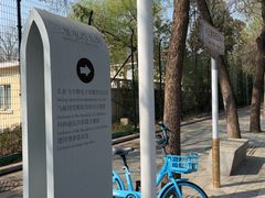 -三里屯东五街银杏大道