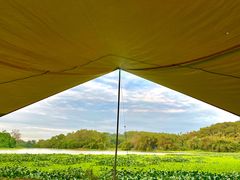 -南宁良凤江国家森林公园