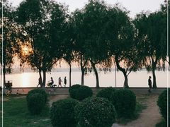 -丁香湖公园