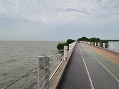-贡湖湾湿地公园