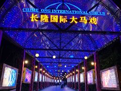 -广州长隆国际大马戏