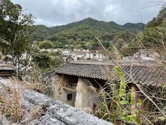 -雁南飞茶田景区