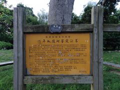 -福建鲤鱼洲酒店