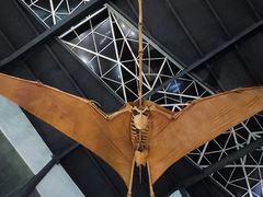 -湖南省地质博物馆