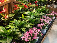 -果蔬好生活超市(乐堤港店)