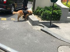 -上海中心大厦·地下停车库