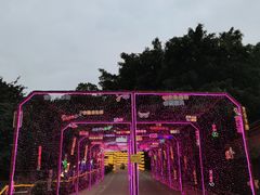 -观澜山水田园