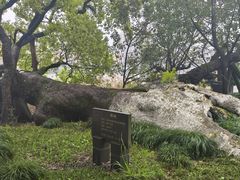 -江心屿景区
