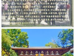 -云栖竹径