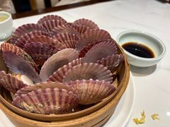-山海菜馆·海肠捞饭·青岛菜(栈桥店)