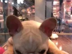 -乐宠宠物店(世纪金源店)