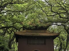 -普陀山风景名胜区-法雨禅寺