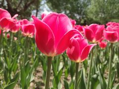 -长春公园(普阳街道)