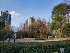 -苏州河梦清园环保主题公园