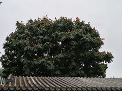 -南华禅寺