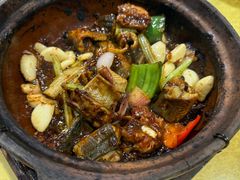 -天宝食坊·啫啫煲大排档(西华路店)