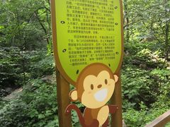 -大岭沟猕猴桃谷风景区