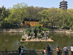 -哥老官重庆美蛙鱼头(西湖银泰十一哥店)