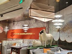-百草滩羊清水涮羊肉·清真·宁夏盐池滩羊(莲花桥店)