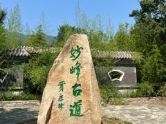 -阳台山自然风景区