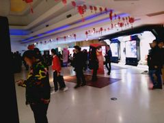 -金逸影城(大悦城IMAX激光店)