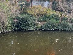 -秋霞圃